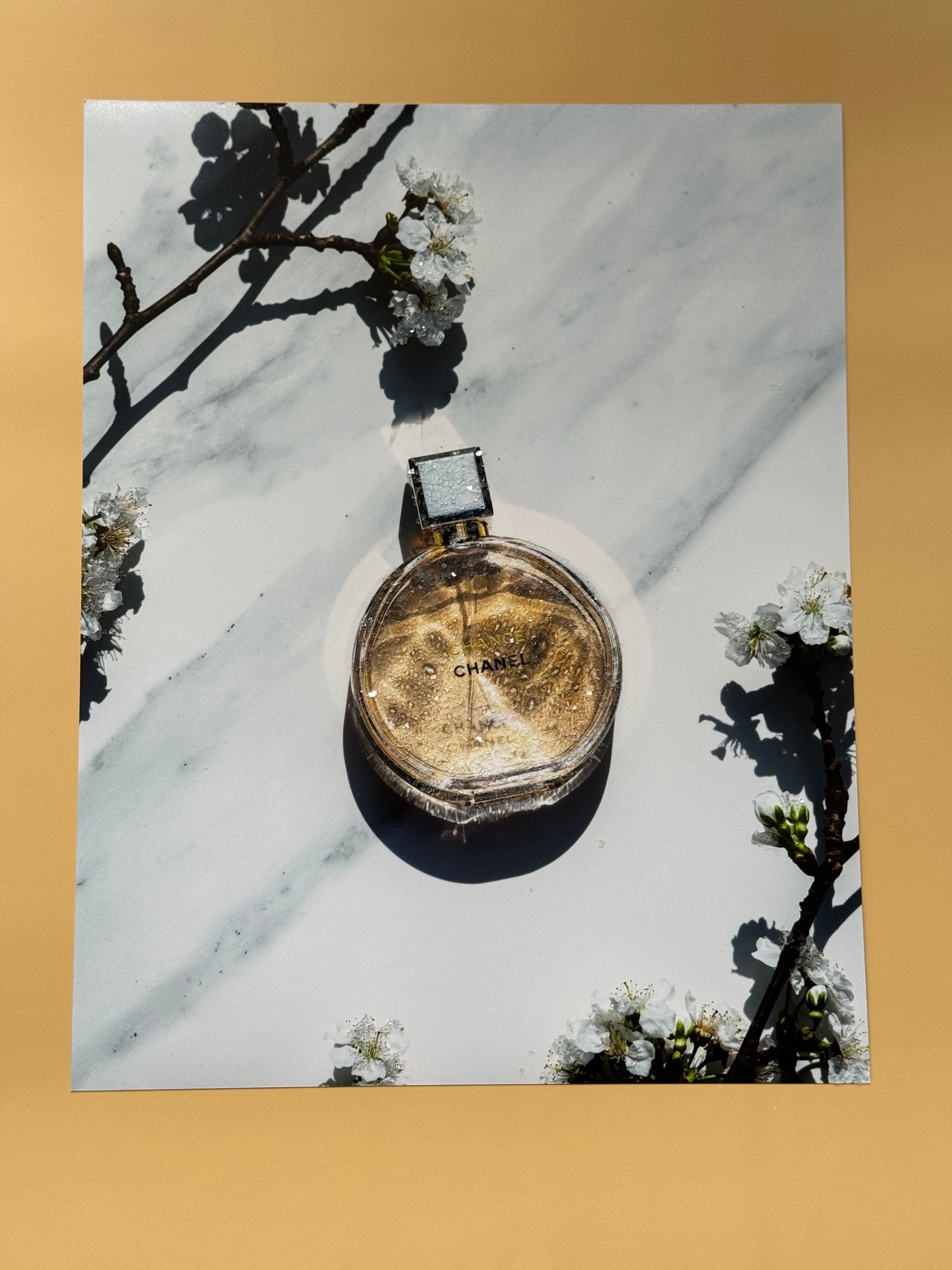 A photo print with sparkle embellished Chanel Perfume.